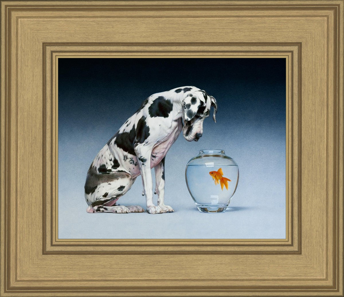 Dane and Fish