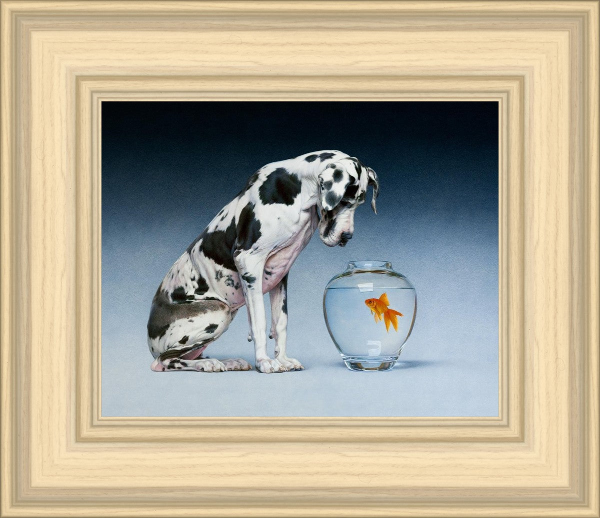 Dane and Fish