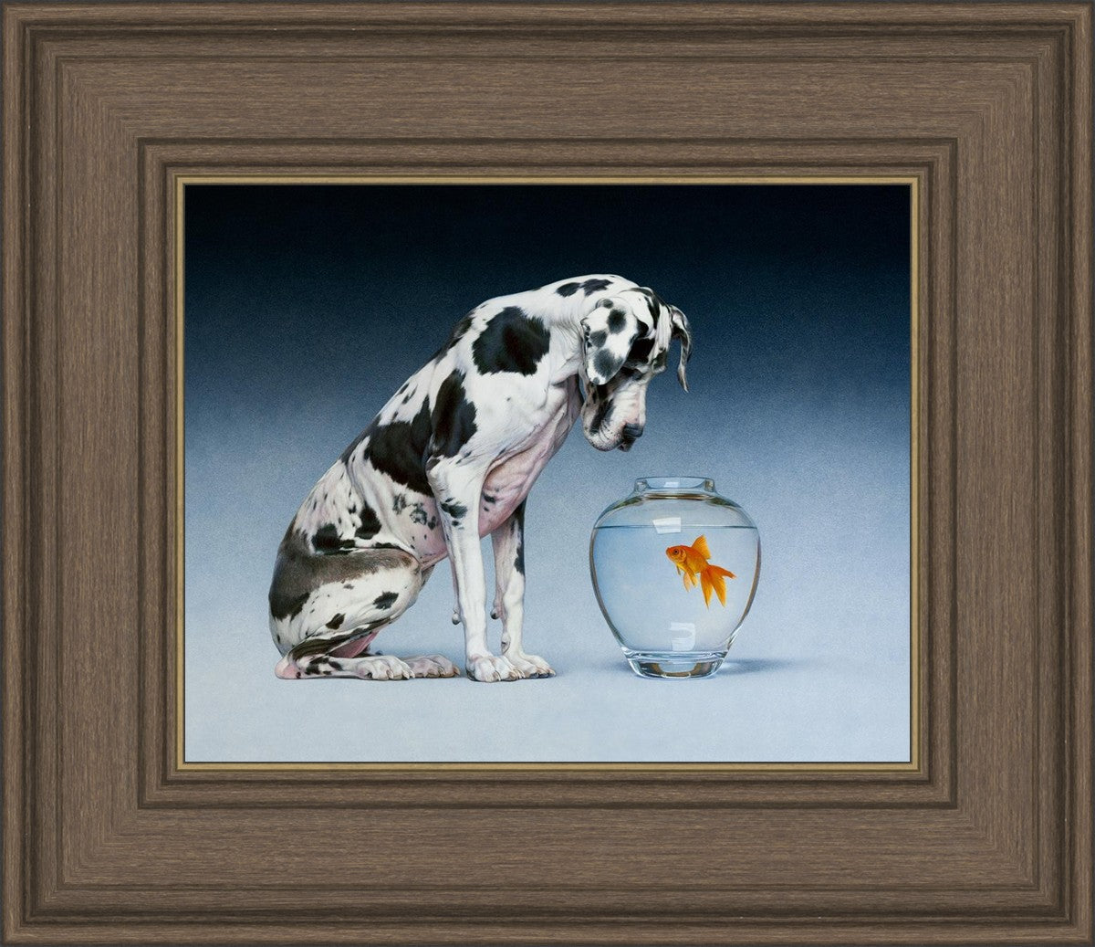 Dane and Fish