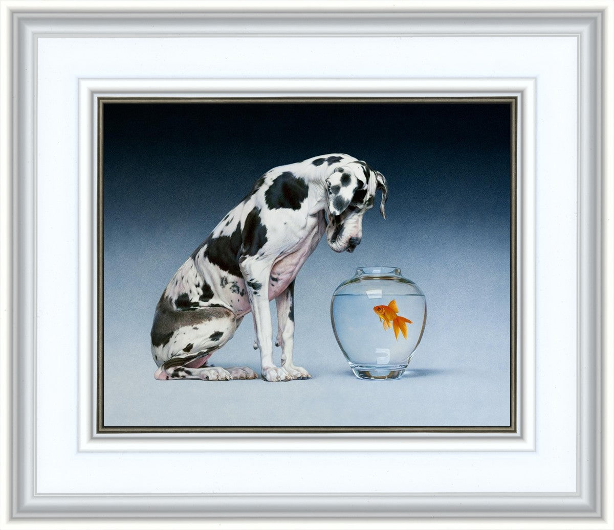 Dane and Fish