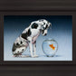 Dane and Fish
