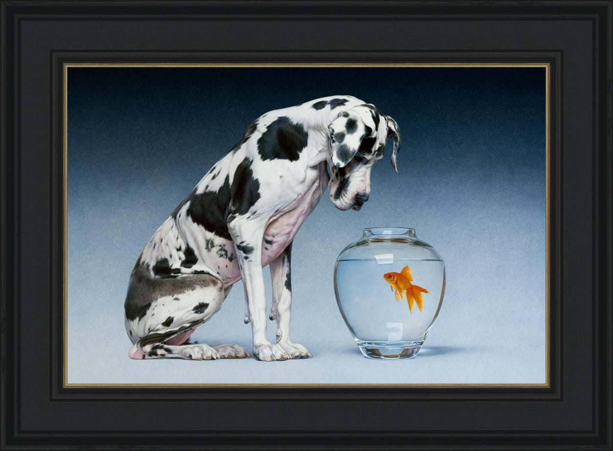 Dane and Fish