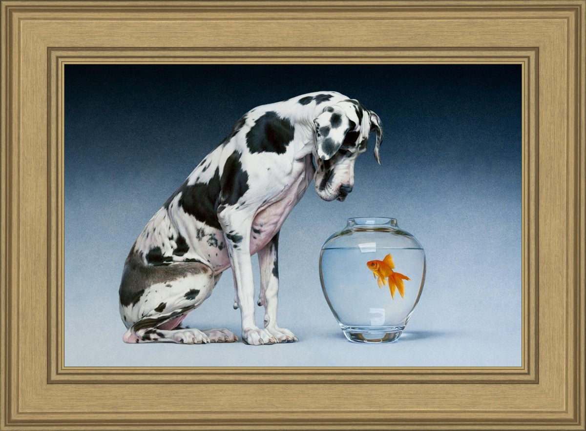 Dane and Fish