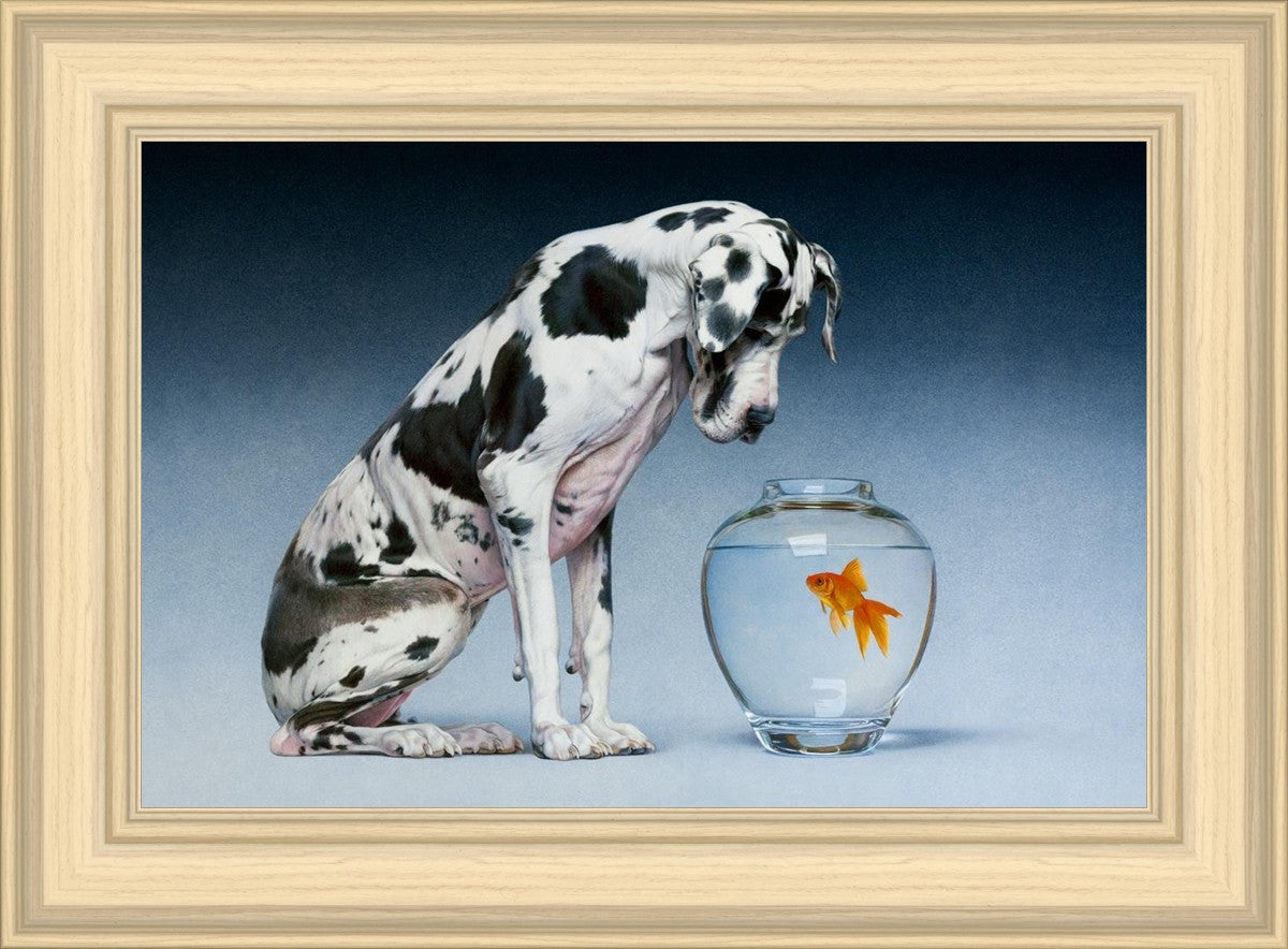 Dane and Fish