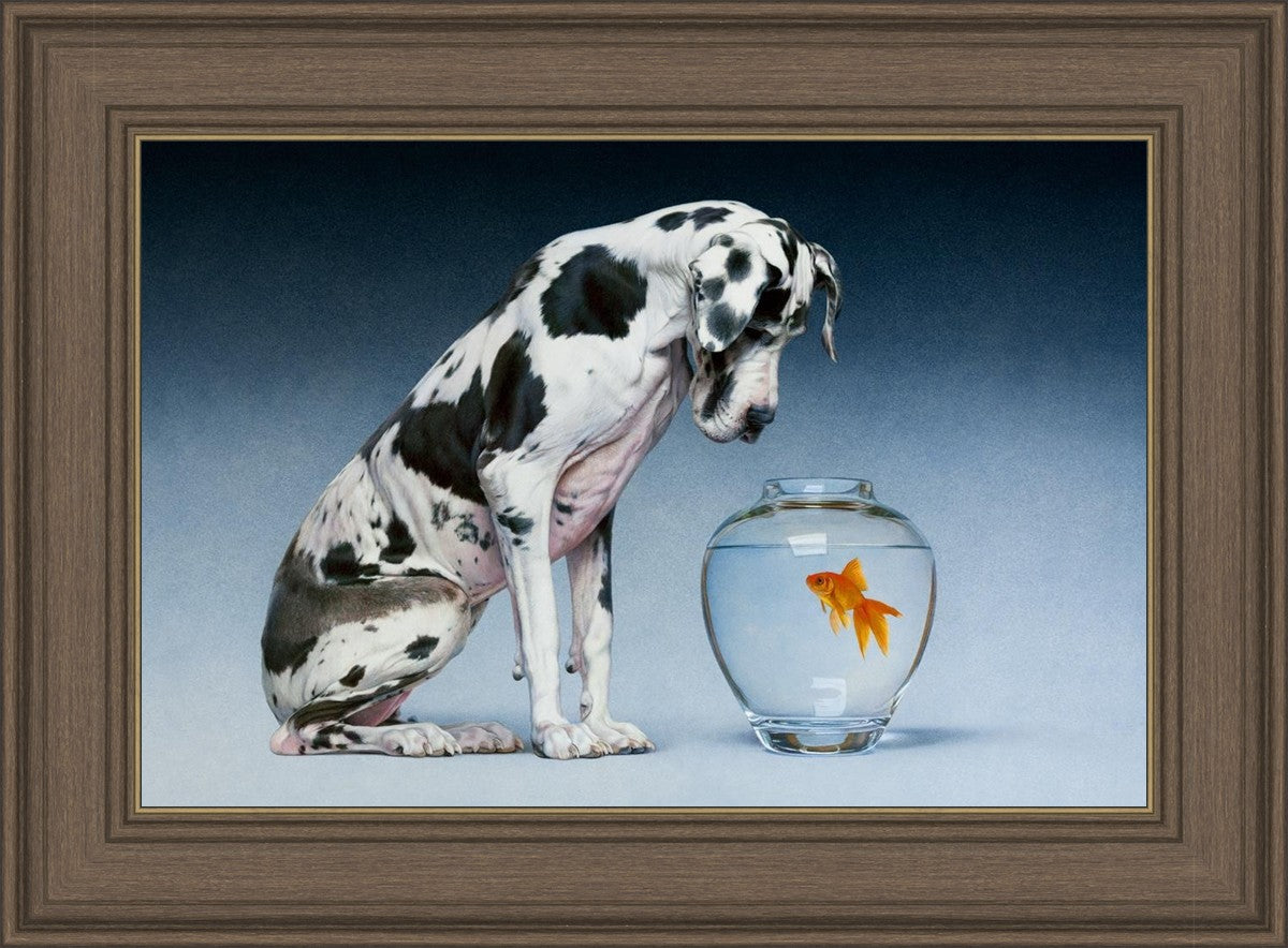 Dane and Fish