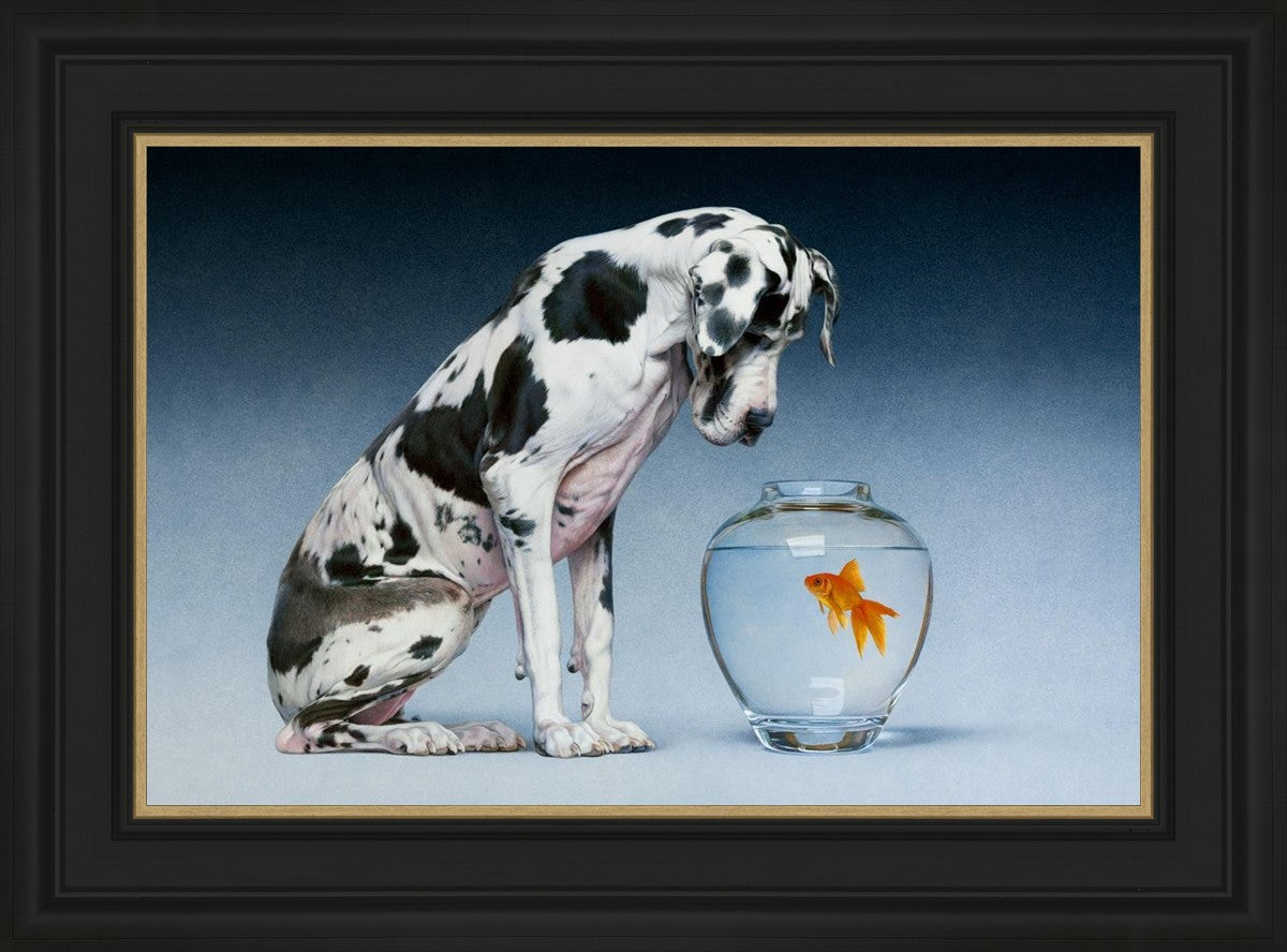 Dane and Fish