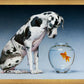 Dane and Fish