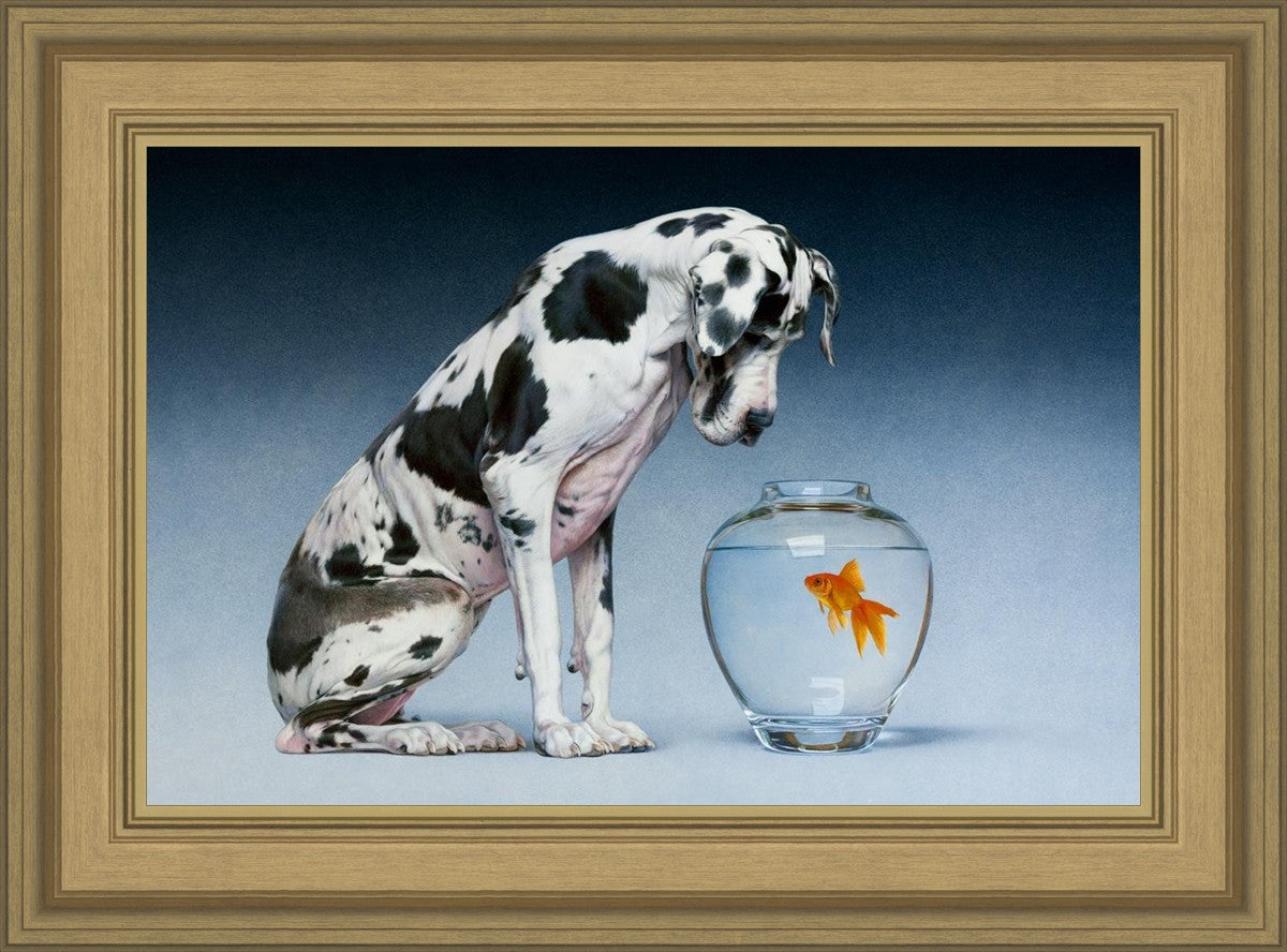 Dane and Fish