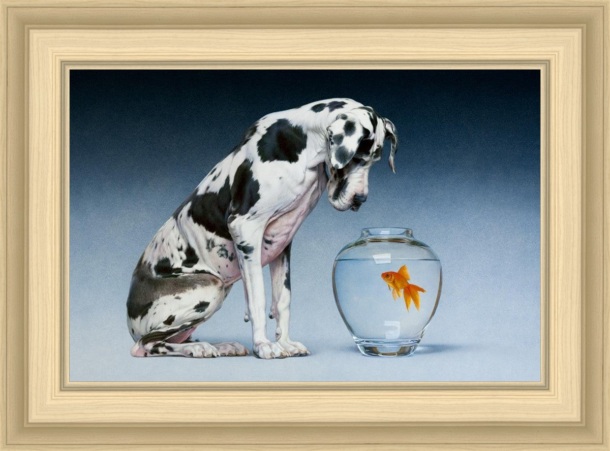Dane and Fish