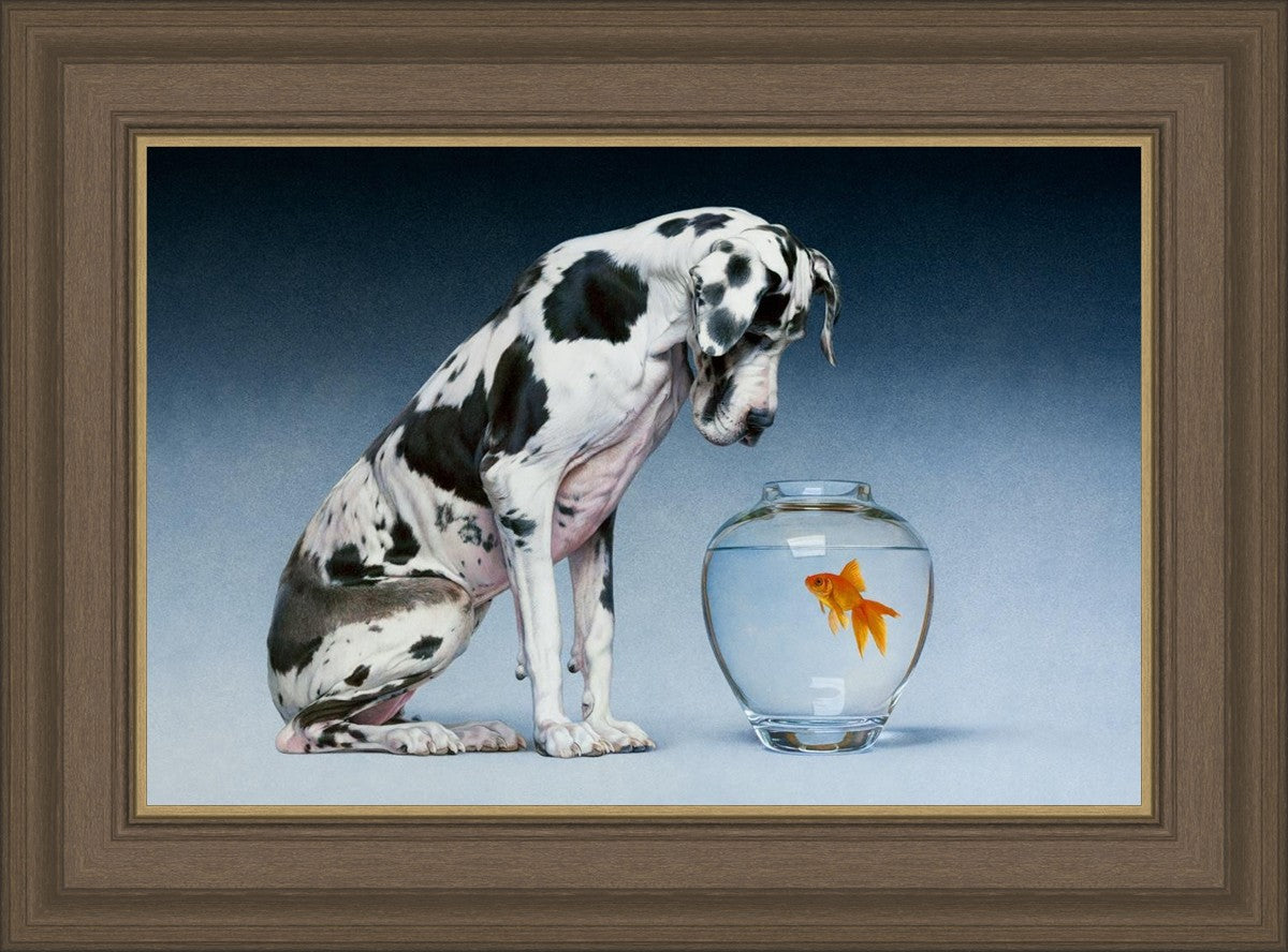 Dane and Fish