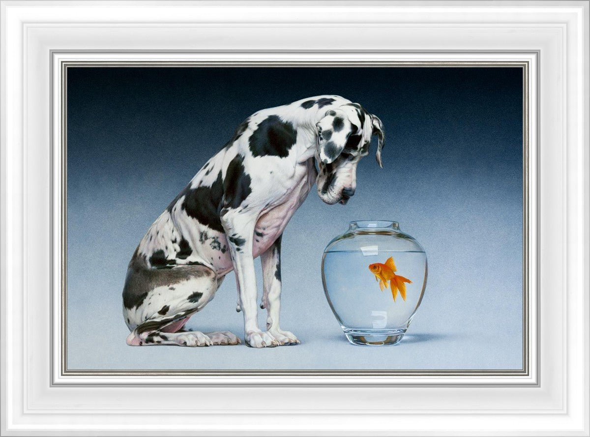 Dane and Fish