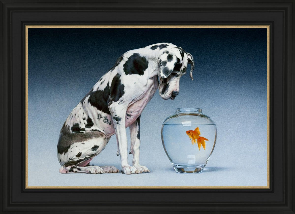 Dane and Fish