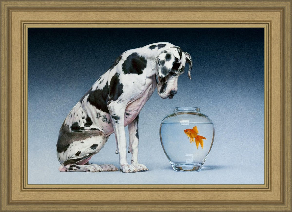 Dane and Fish