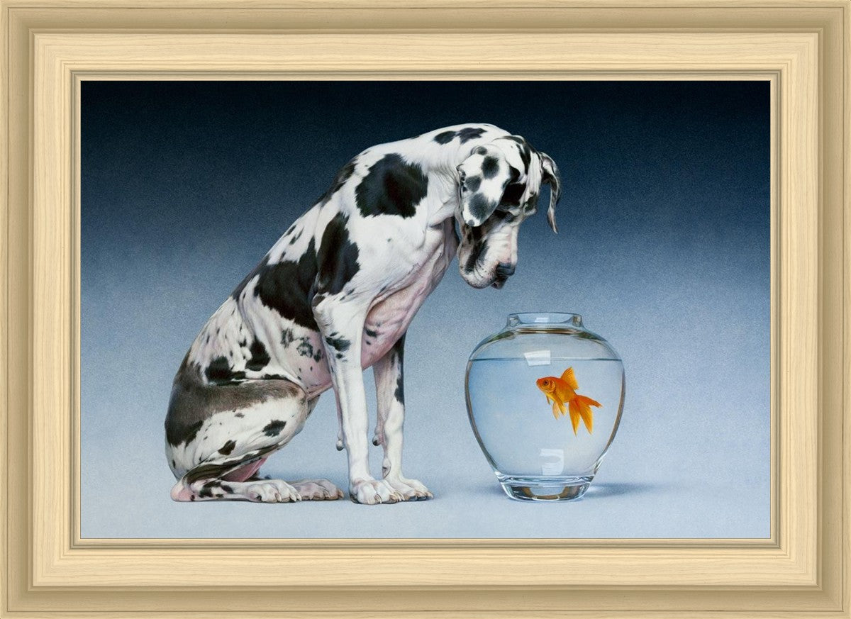Dane and Fish
