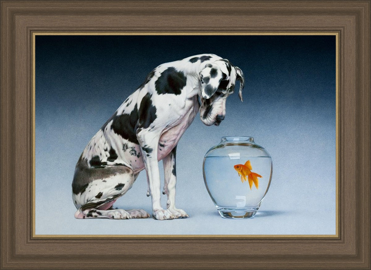 Dane and Fish
