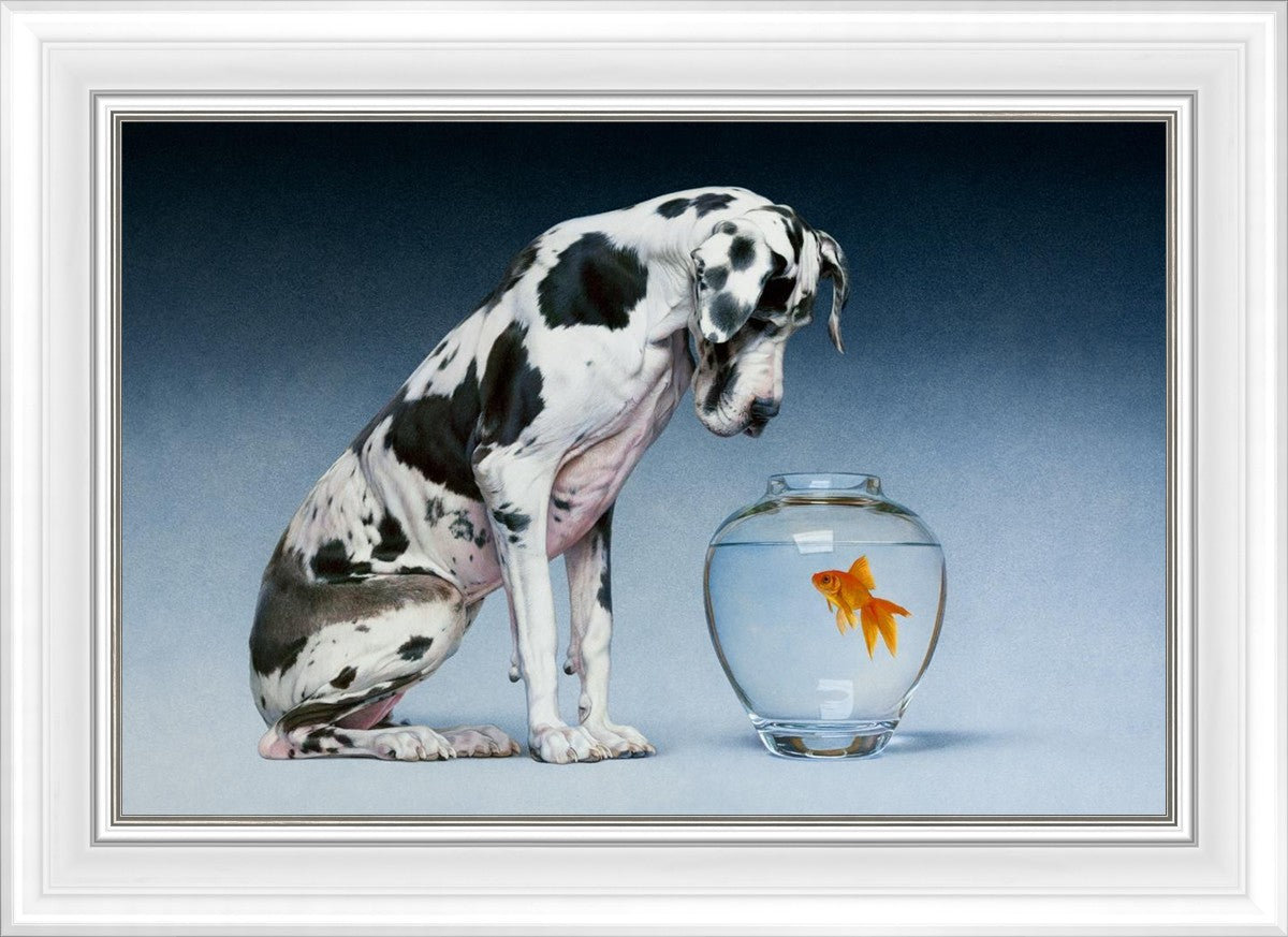 Dane and Fish