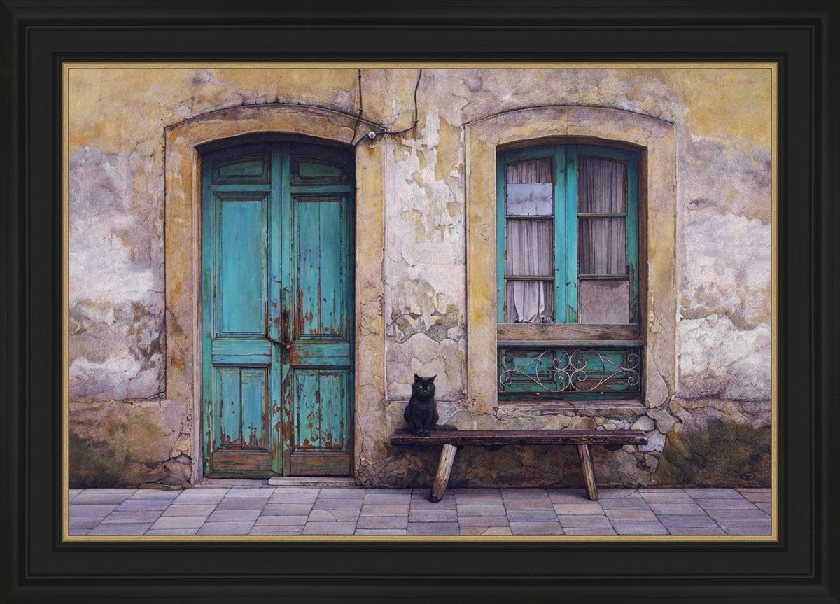 Black Cat