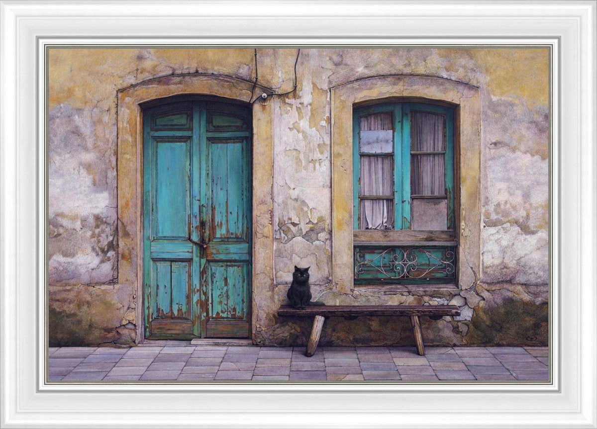 Black Cat