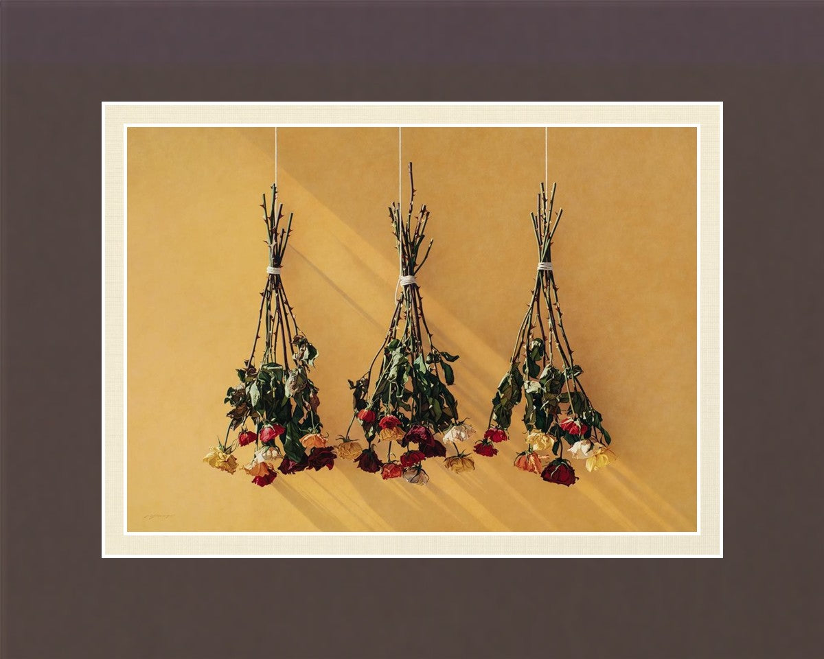 Autumn Roses