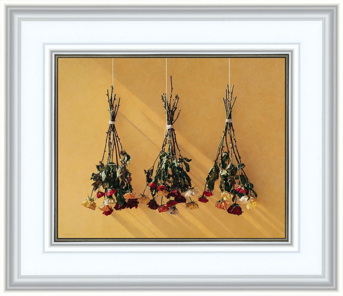 Autumn Roses
