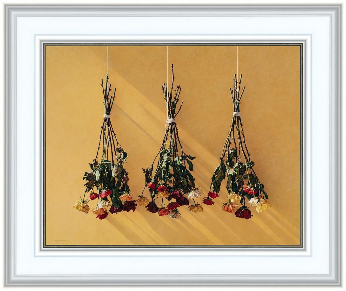 Autumn Roses