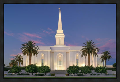 Orlando Summer Twilight Gallery Wrap