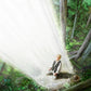 A Pillar of Light