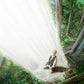A Pillar of Light