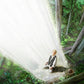 A Pillar of Light