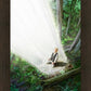 A Pillar of Light