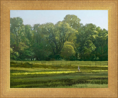 I Retired Into the Woods