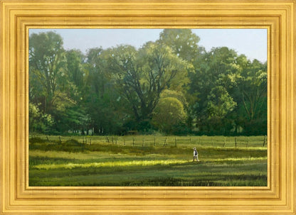 I Retired Into the Woods