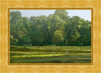 I Retired Into the Woods