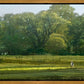 I Retired Into the Woods