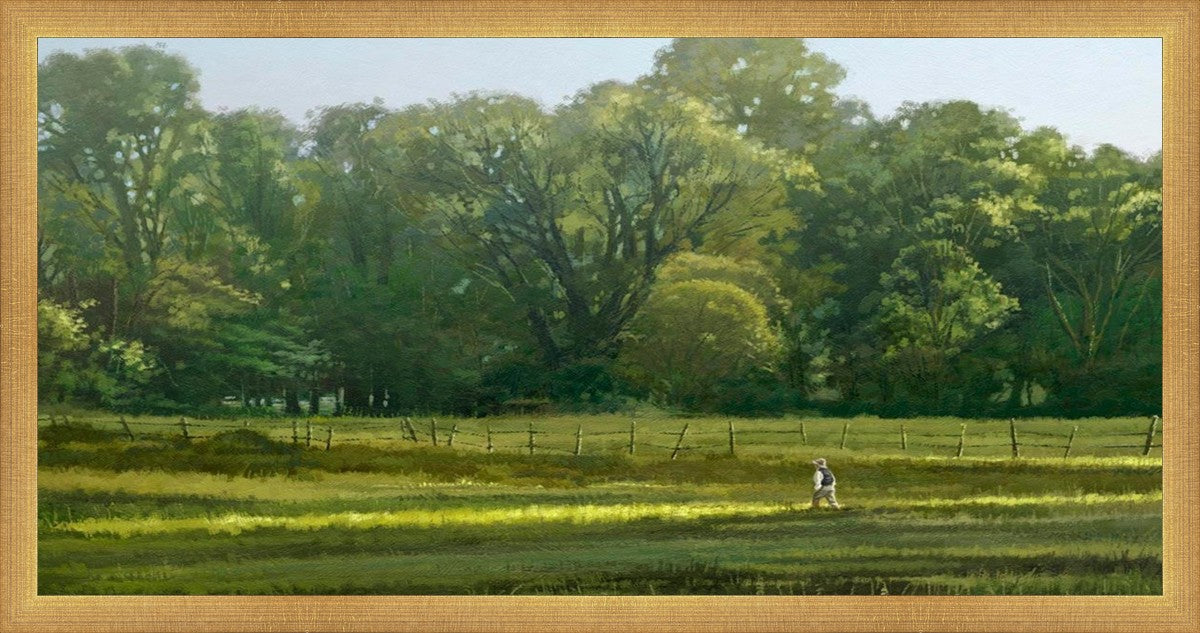 I Retired Into the Woods