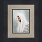 Prince of Peace