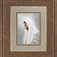 Prince of Peace