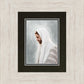 Prince of Peace