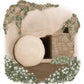 Garden Tomb