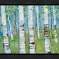 Spring Aspens