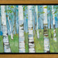 Spring Aspens