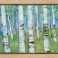 Spring Aspens