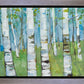 Spring Aspens
