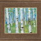 Spring Aspens
