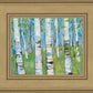 Spring Aspens