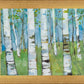 Spring Aspens