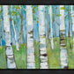 Spring Aspens