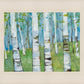 Spring Aspens