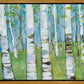 Spring Aspens