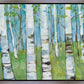 Spring Aspens